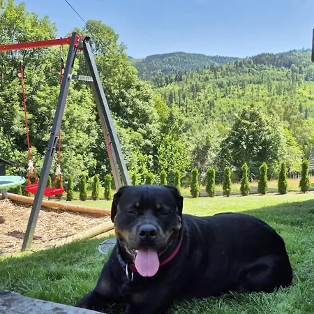 Na Cienkowie Semesterbostad *