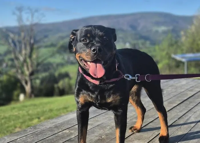 Na Cienkowie * Wisla